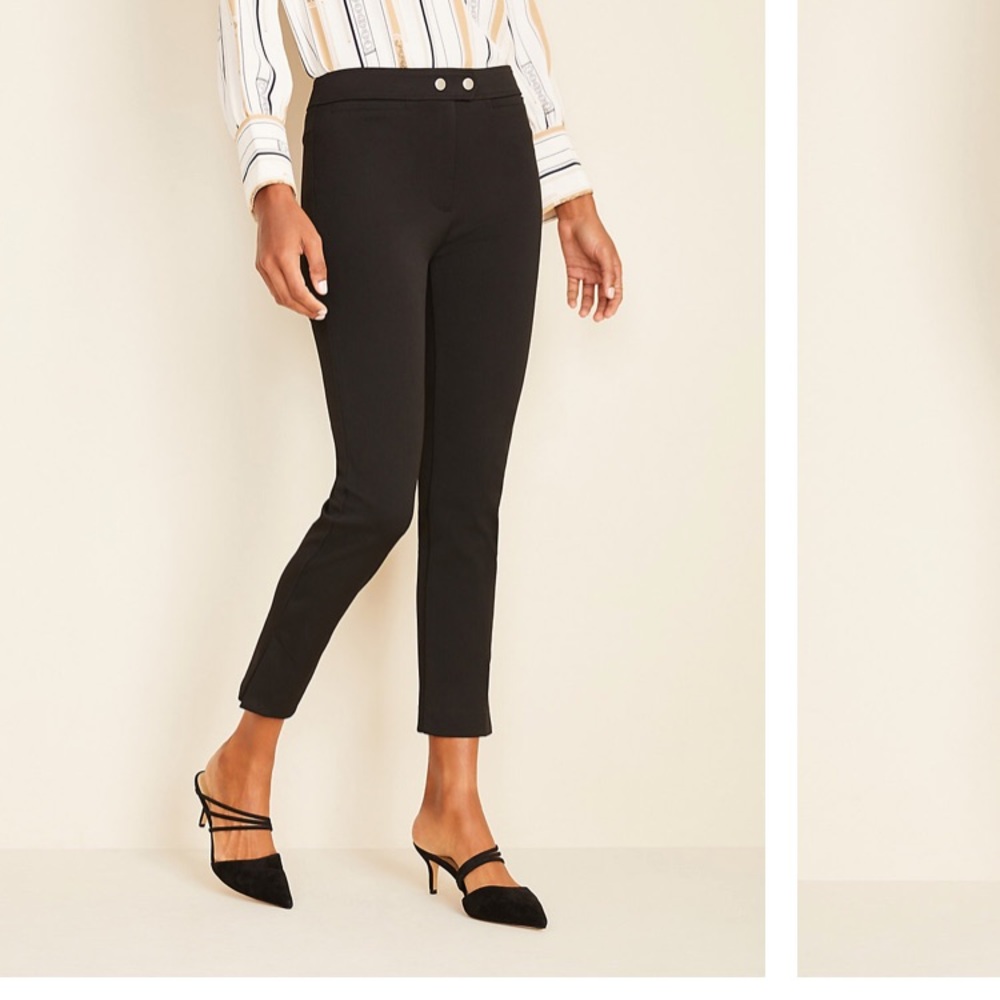 Ann Taylor Skinny Crop